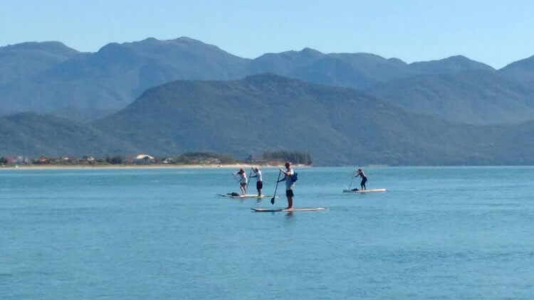 Passeio Farol Naufragados SUP Trip Farol Naufragados Floripa Stand Up Paddle (12)