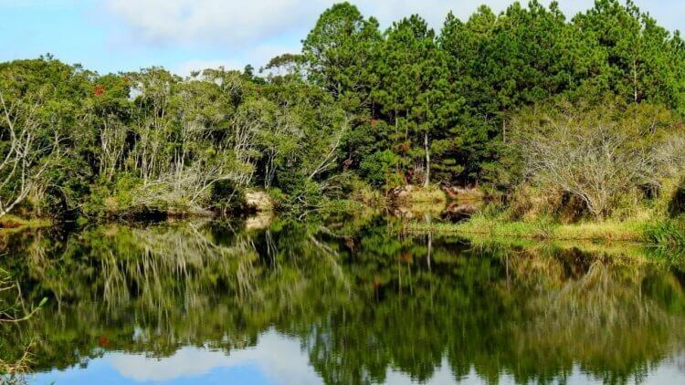 Passeio Guarda do Embaú (2)
