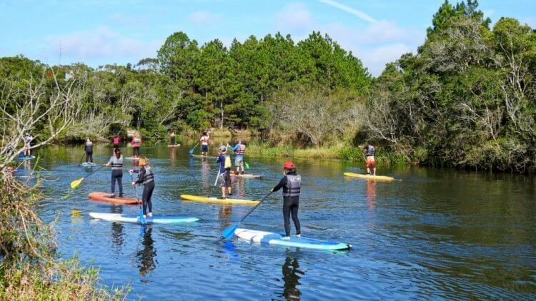 Passeio Guarda do Embaú (7)