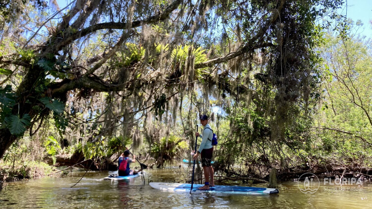 Passeio Lagoa do Peri SUP Trip Lagoa do Peri Cachoeira da Gurita Floripa Stand Up Paddle (10)