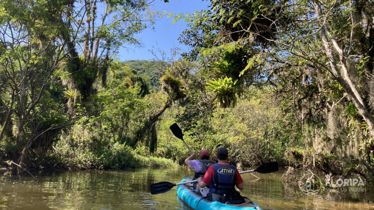 Passeio Lagoa do Peri SUP Trip Lagoa do Peri Cachoeira da Gurita Floripa Stand Up Paddle (6)