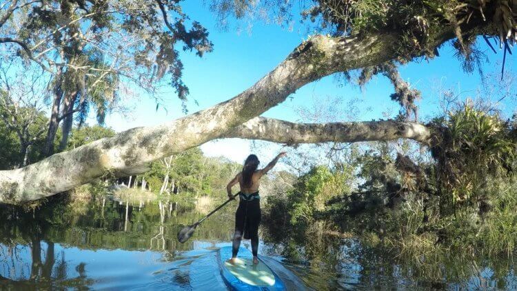 Passeio Rio Maciambu (11)