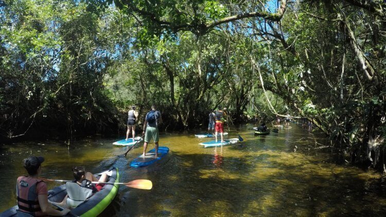 Passeio Rio Maciambu (4)