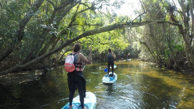 Passeio Rio Maciambu (5)